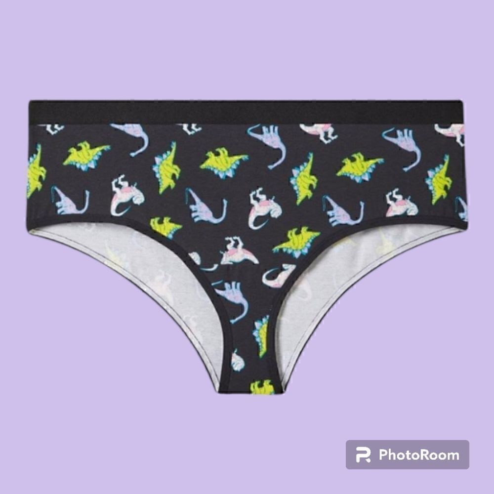 3X 22W 24W Torrid Black Dinosaur Cotton Cheeky Panty Mid Rise Pink T Rex Lingeri